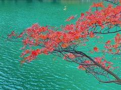 -叠溪松坪沟景区