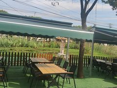 -丫丫蟹庄·苏式园林农家乐·阳澄湖大闸蟹(阳澄湖莲花岛店)