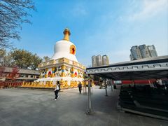 -护国法轮寺