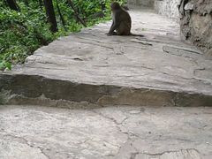 -北京上方山国家森林公园