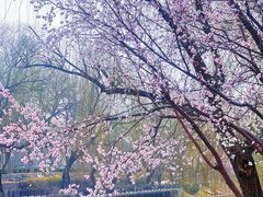 -安定门(地铁站)