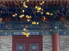 -天龙宝严素食馆(大兴善寺店)