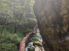 -牛背梁国家森林公园