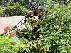 -杭州少年儿童公园