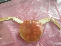 -小陆莲花蟹园农家乐(莲花岛店)