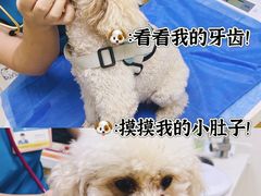 -美联众合动物医院·24h京西诊疗中心