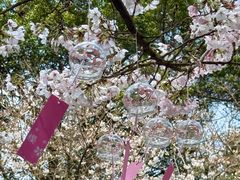 -杭州少年儿童公园