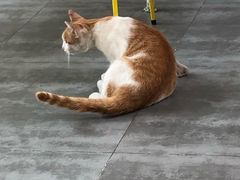 -五进制 Coffee Shop