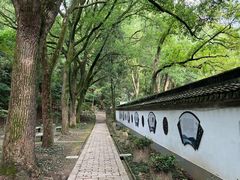 -上海佘山国家森林公园天马山园