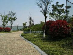 -上海滴水湖皇冠假日酒店