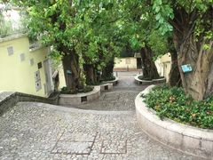 -龙环葡韵住宅式博物馆