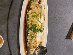 -羲和雅苑•北京烤鸭(平安国际金融中心店)