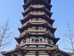 -洋湖国家湿地公园
