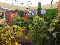 -小喜客·云南特色菜(纳西庭院店)