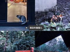 -法云安缦酒店