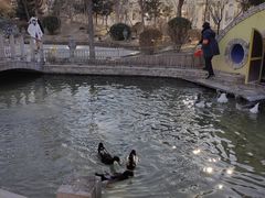 -南宫五洲植物乐园