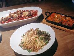 -向川南·水煮鱼·川菜(和平里店)