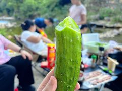 -北仑森林植物园