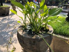 -大门水乡·顺德菜