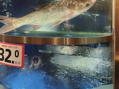 -蜀滋香鲜鱼美蛙火锅(339店)
