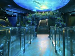 -陕西自然博物馆