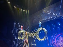 -重庆国际马戏城