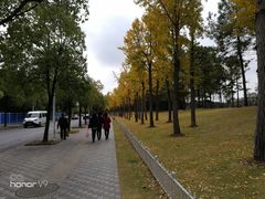 -美兰湖景区