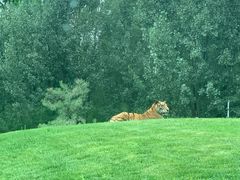-北京野生动物园