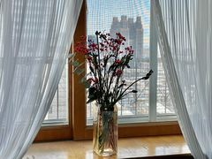 -宝鸡东道花鸟鱼虫市场(吉利花园商场店)