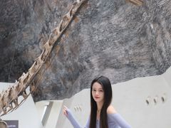 -中华赏石园