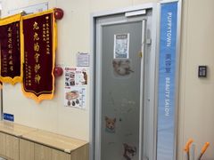 -芭比堂动物医院·24小时·眼科中心(深圳中心)