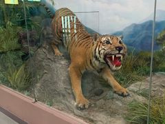 -国家自然博物馆