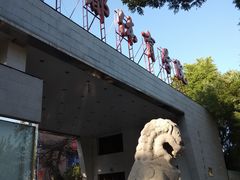 -武术世家少儿培训中心(首都体育学院店)