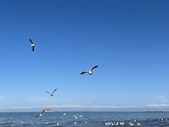 -青海湖国家重点风景名胜区