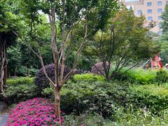 -徐家汇源景区-衡山公园