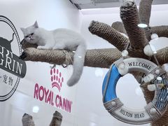 -袖虎·猫馆(体育西路店)