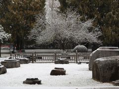 -明故宫遗址公园