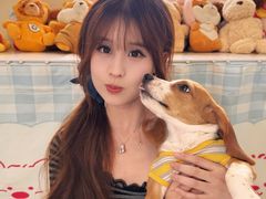 -汪说·狗咖·拼豆·宠物周边DIY(旺城大厦店)