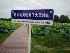 -梁鸿国家湿地公园