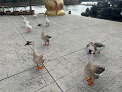 -木兰水镇旅游景区