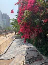 -深圳阳光医疗美容医院·旗舰店