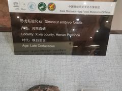 -中国西峡恐龙遗迹园