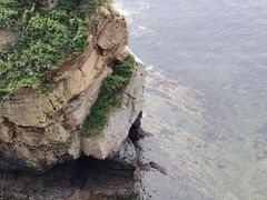 -大连金石滩滨海国家地质公园