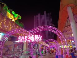 -长沙云顶星河游乐园(步步高·梅溪新天地店)