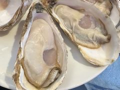 -千岛蚝高压锅生蚝·人参火锅(白云万达店)