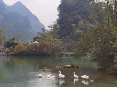 -靖西鹅泉风景区