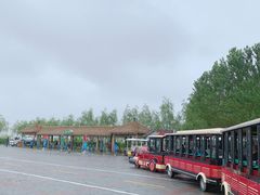 -呼兰河口湿地公园