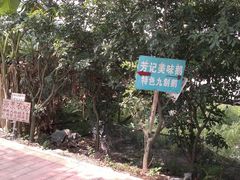 -黄埔古港