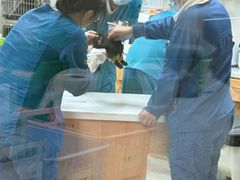 -联合动物医院(光谷诊疗中心)