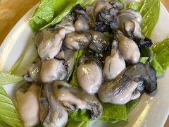 -金砂阿洲鱼册店